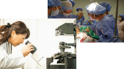 バイオ基礎技術実習