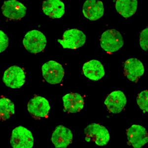 ケミカルバイオエンジニアリング