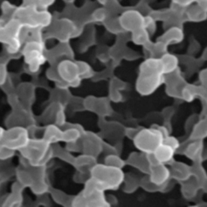 バイオマテリアル