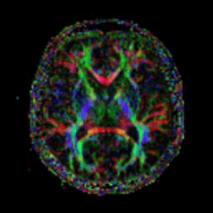 バイオイメージング